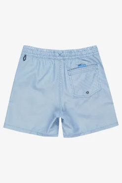 Hot Quiksilver Zwemshort Everyday Deluxe Volley Yth 14 Nebulas Blue