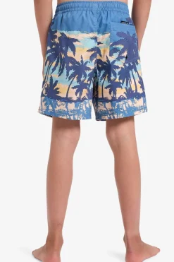 Discount Quiksilver Zwemshort Everyday Straight Volley Yth14 Coronet Blue Tropicamo