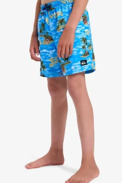 Zwemshort Everyday Straight Volley Yth14-Quiksilver New