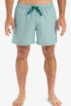Fashion Quiksilver Zwemshort Everyday Deluxe Volley 15 Teal Green