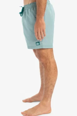 Fashion Quiksilver Zwemshort Everyday Deluxe Volley 15 Teal Green