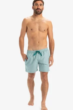 Fashion Quiksilver Zwemshort Everyday Deluxe Volley 15 Teal Green
