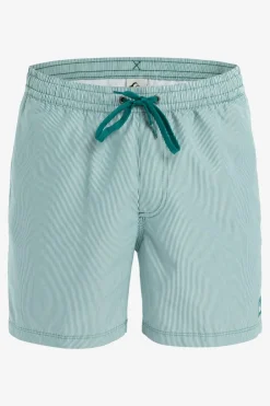 Fashion Quiksilver Zwemshort Everyday Deluxe Volley 15 Teal Green