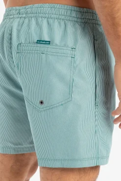 Fashion Quiksilver Zwemshort Everyday Deluxe Volley 15 Teal Green