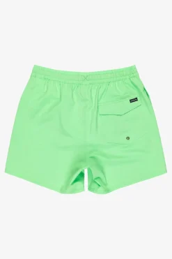 Discount Quiksilver Zwemshort Surfsilk Solid Volley 16In Summer Green
