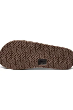 Slipper Draftsmen-Reef Hot