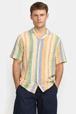 3918-Revolution Online