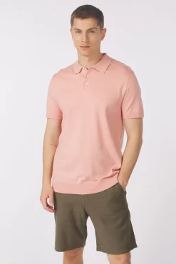 New Selected Polo Berg Forest Night