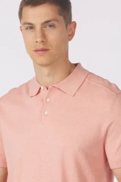 New Selected Polo Berg Forest Night