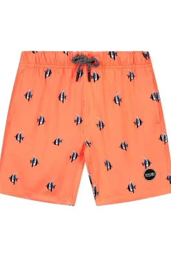 Zwemshort Moorish Idol-Shiwi Outlet