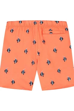 Zwemshort Moorish Idol-Shiwi Outlet