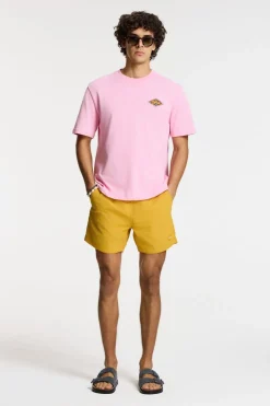 Zwemshort Nate Quick Dry 5 Inch Solid-Shiwi Hot