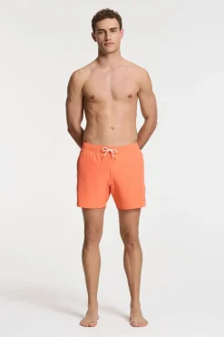 Zwemshort Scott Stretch 6 Inch Solid-Shiwi New