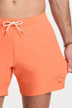 Zwemshort Scott Stretch 6 Inch Solid-Shiwi New