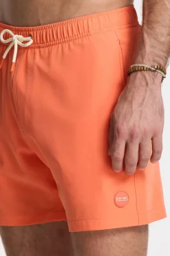 Zwemshort Scott Stretch 6 Inch Solid-Shiwi New