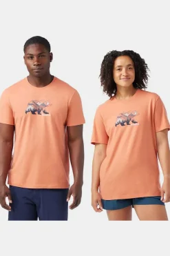 Clearance Smartwool T-Shirt Bear View Short Sleeve Graphic Tee Terracotta