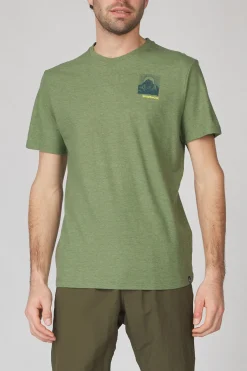 Online Smartwool T-Shirt Forest Finds Ss Fern Green
