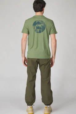 Online Smartwool T-Shirt Forest Finds Ss Fern Green