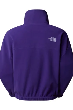 Discount The North Face Fleece 100 Glacier Half Zip Peak Purple