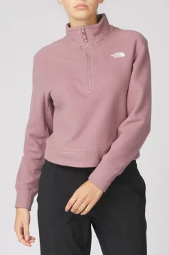 Outlet The North Face Fleece 100 Glacier Half Zip Fawn Grey