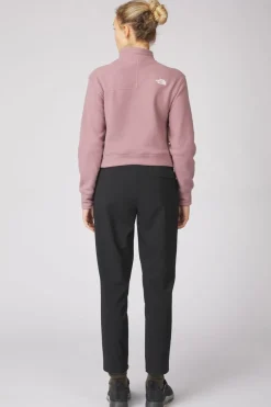 Outlet The North Face Fleece 100 Glacier Half Zip Fawn Grey