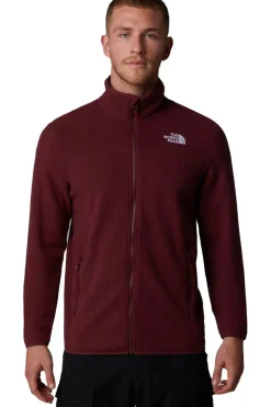 Outlet The North Face Fleece 100 Glacier Full Zip Alpine Plum