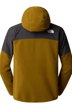 Fashion The North Face Fleece Glacier Heavyweight Full Zip Hd Moss Green/Asphalt Grey