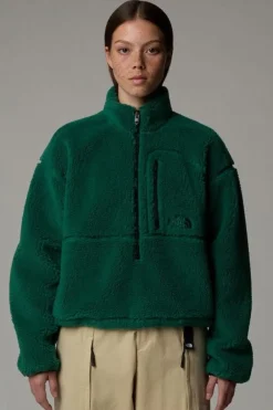 Best The North Face Fleece Tnf Extreme Pile Pullover Evergreen-Tnf Black