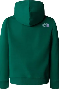 Trui B Drew Peak P/O Hoodie-The North Face Online