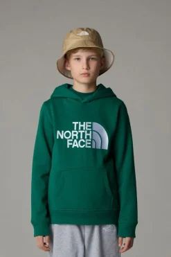 Trui B Drew Peak P/O Hoodie-The North Face Online