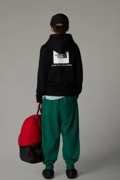 Trui Teen Redbox Regular P/O Hoodie-The North Face Best