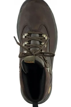 Wandelschoenen Chocorua Trail Gore-Tex-Timberland Outlet