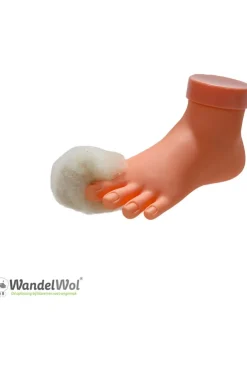 Schoenonderhoud 20 Gram-WandelWol Discount