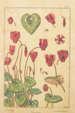 Wenskaart Post Card Fleurs Cyclamen-Woodhi Fashion
