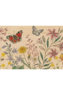 Wenskaart Postcard Black And Colors Butterflies-Woodhi Clearance