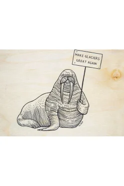 Outlet Woodhi Wenskaart  Postcard Winter Glaciers Light Brown/Assorted / Mixed