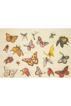 Wenskaart  Postcard Bnf Ornements Papillons-Woodhi Hot