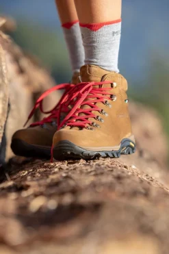 Online Zamberlan Wandelschoenen New Trail Lite Evo Gore-Tex light brown